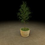 Baum-Cycles.jpg