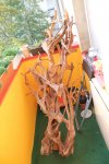 IMG_5402.JPG