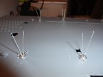 DSC01820.JPG