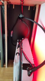 IMG_20210313_094152.jpg