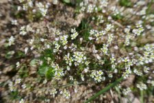 P1020208(1).jpg