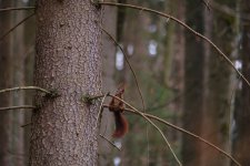 IMG_20210410_214011.jpg