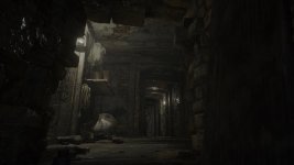 re8demo_2021_05_02_21_11_02_915.jpg