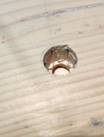 Filltop-Schnitt02.jpg