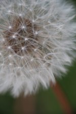 DSCF0623b.JPG