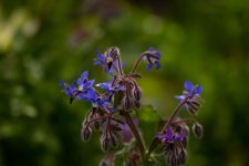 FlyPic (2).jpg