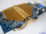 DSCI0258.JPG