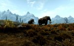 TES-IV-Skyrim-10.jpg