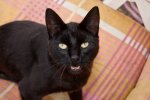 DSC_4142.jpg