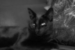 DSC_4177.jpg