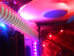 DSC01845.JPG