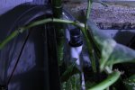 IMG_6215.jpg