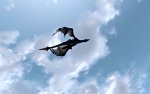 TES-IV-Skyrim-Dragon-03.jpg