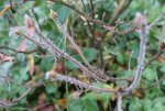 DSC02964_900.jpg