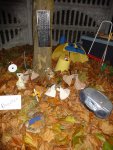 DSC02758.jpg