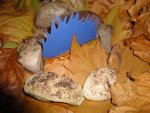 DSC02760.jpg