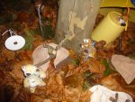 DSC02763.jpg