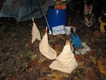 IMG_0847.jpg