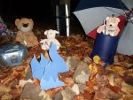 DSCF6181.jpg