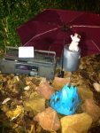 IMG_1181.JPG