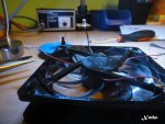 DSC03300.JPG