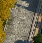 native_crop.png