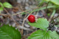 P1030107(1).jpg