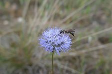P1030164(1).jpg