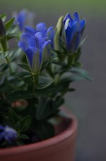 DSC_0644s.jpg