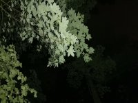 IMG_20210705_233419.jpg