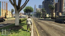 GTA5_WQHD_High.jpg