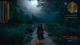 Witcher3_WQHD_High.jpg