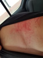 20190815_131827.jpg