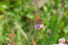 P1030974(1).jpg