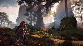 Horizon Zero Dawn - Shadow Maps x Volumetrics.jpg