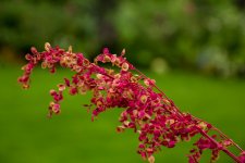 _MG_5505.jpg