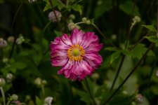 _MG_5511.jpg