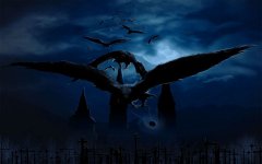 Fantasy_bird_108992.jpg