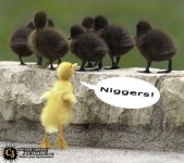 racism.jpg