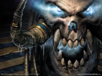 warcraft3_800.jpg
