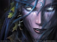 warcraft32_800.jpg