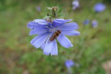 P1040303(1).jpg
