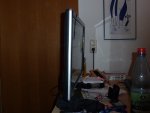 P1000589.jpg