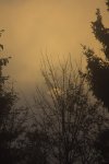 _MG_7837.jpg