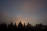 _MG_7831.jpg
