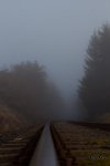 _MG_7815.jpg
