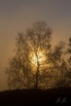 _MG_7809.jpg