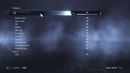 rogue_hud_options.jpg