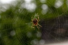 _MG_5769.jpg