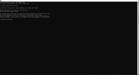 scannow.PNG